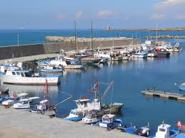 Il porto peschereccio di Terrasini